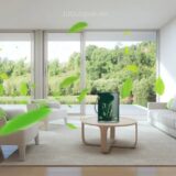 цагаан замаск